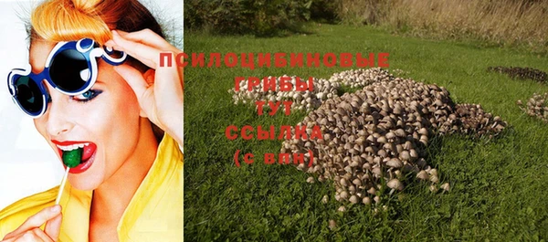круглые Ладушкин