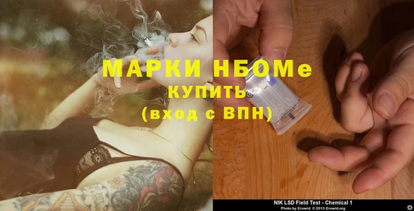 мдпв Лагань
