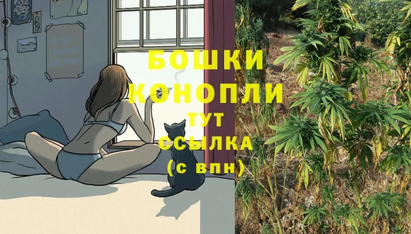 первитин Лиски