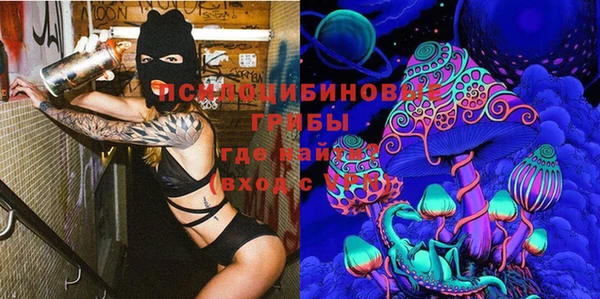 круглые Ладушкин