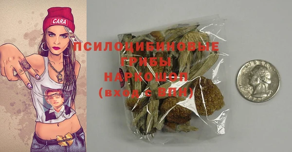 не бодяженный Лабытнанги