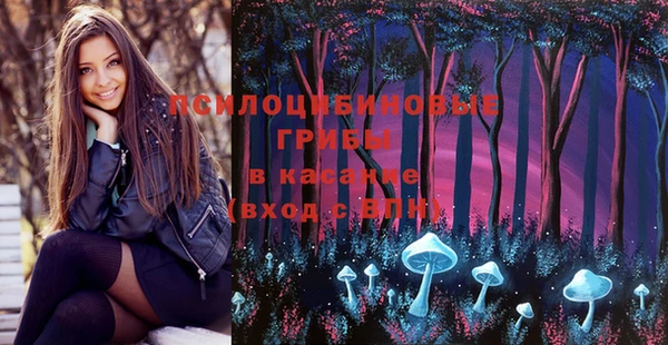 круглые Ладушкин