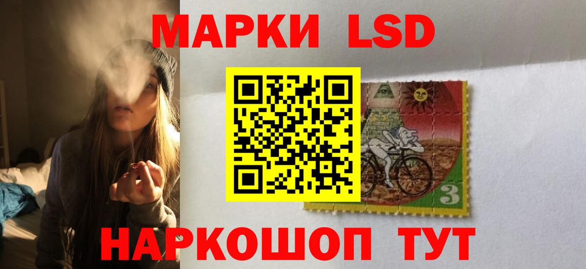 Галлюциногенные грибы Томск