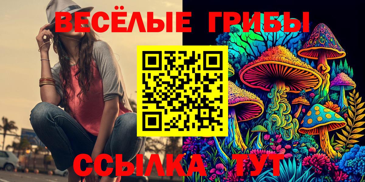 Псилоцибиновые грибы MAGIC MUSHROOMS Томск
