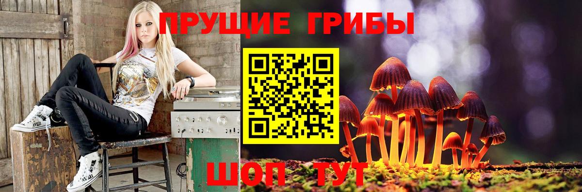 Галлюциногенные грибы мицелий Томск